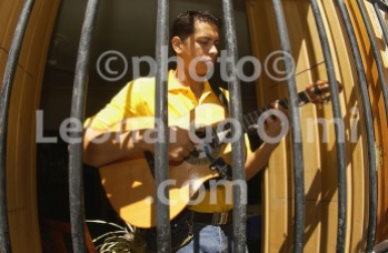 Cuba, man playing guitar behind window DSC_0322 copy