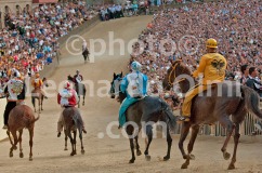 Italy, Siena, Palio, Piazza del Campo, horses DSC_7440 JPG copy