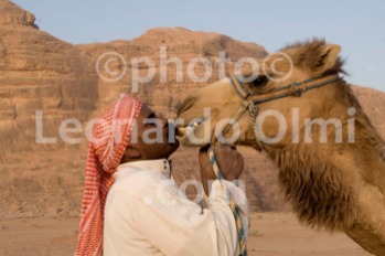 Jordan, Wadi Rum desert, bedouin with camel DSC_8501 JPG copy