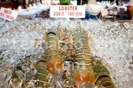 Thailand, Phuket island, Patong Beach, seafood restaurant, lobsters DSC_0272 TIF copia copy