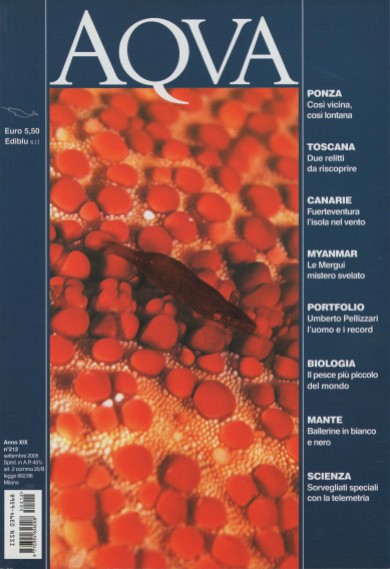 Aqva, September 2005, cover by Leonardo Olmi